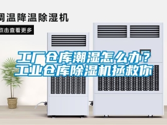常見問題工廠倉庫潮濕怎么辦？工業倉庫除濕機拯救你