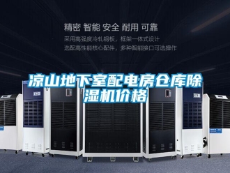 企業(yè)新聞涼山地下室配電房倉(cāng)庫(kù)除濕機(jī)價(jià)格