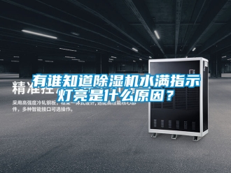 行業新聞有誰知道除濕機水滿指示燈亮是什么原因？