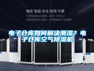 企業(yè)新聞電子倉庫如何解決潮濕？電子倉庫空氣除濕機