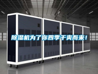 行業(yè)新聞除濕機(jī)為了你四季干爽而來！