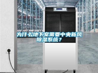 行業新聞為什么地下室需要中央新風除濕系統？