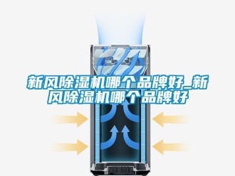 常見問題新風(fēng)除濕機(jī)哪個(gè)品牌好_新風(fēng)除濕機(jī)哪個(gè)品牌好