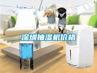 企業新聞深圳抽濕機價格