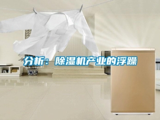 企業新聞分析：除濕機產業的浮躁