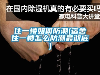 常見(jiàn)問(wèn)題住一樓如何防潮(宿舍住一樓怎么防潮最徹底)