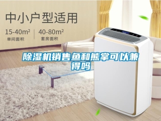 常見問題除濕機銷售魚和熊掌可以兼得嗎