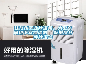 常見問題甘孜州工業(yè)除濕機(jī)，大型車間地下室抽濕機(jī)  配電房倉庫除濕器