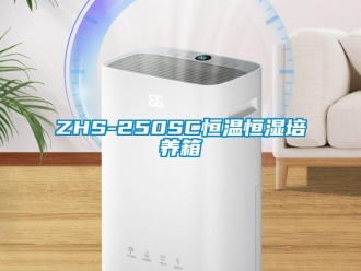 常見問題ZHS-250SC恒溫恒濕培養箱