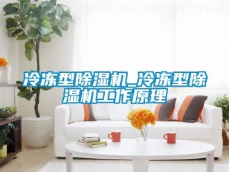 行業新聞冷凍型除濕機_冷凍型除濕機工作原理