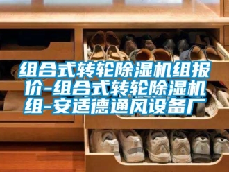 常見問題組合式轉輪除濕機組報價-組合式轉輪除濕機組-安適德通風設備廠