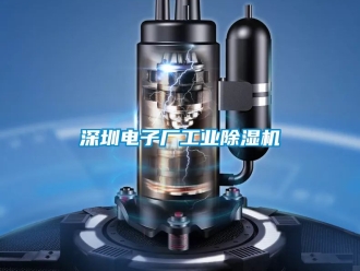 常見問題深圳電子廠工業除濕機