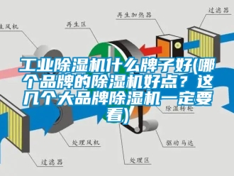常見問題工業除濕機什么牌子好(哪個品牌的除濕機好點？這幾個大品牌除濕機一定要看)