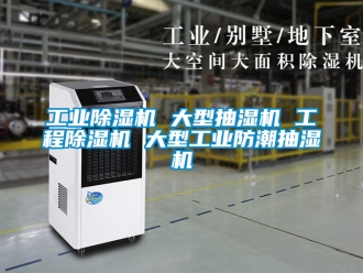 常見(jiàn)問(wèn)題工業(yè)除濕機(jī) 大型抽濕機(jī) 工程除濕機(jī) 大型工業(yè)防潮抽濕機(jī)