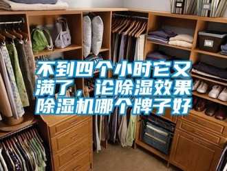 企業新聞不到四個小時它又滿了，論除濕效果除濕機哪個牌子好