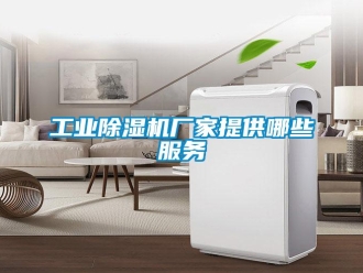 企業新聞工業除濕機廠家提供哪些服務