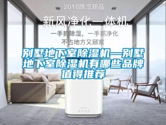 企業(yè)新聞別墅地下室除濕機(jī)—?jiǎng)e墅地下室除濕機(jī)有哪些品牌值得推薦