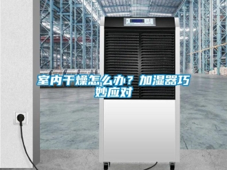 常見問題室內干燥怎么辦？加濕器巧妙應對