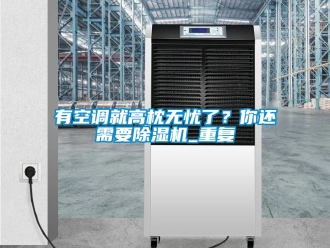 行業新聞有空調就高枕無憂了？你還需要除濕機_重復