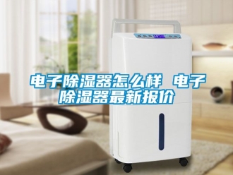 行業新聞電子除濕器怎么樣 電子除濕器最新報價