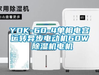 企業(yè)新聞YDK-60-4單相電容運(yùn)轉(zhuǎn)異步電動(dòng)機(jī)60W 除濕機(jī)電機(jī)