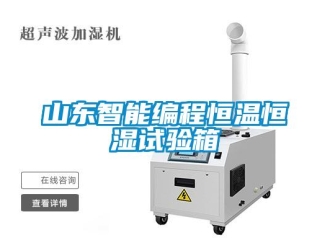 知識百科山東智能編程恒溫恒濕試驗箱