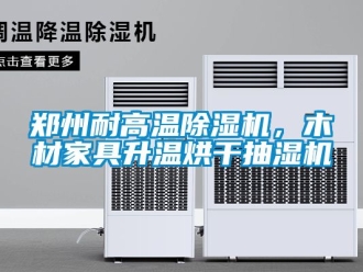 行業新聞鄭州耐高溫除濕機，木材家具升溫烘干抽濕機