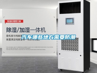 常見問題汽車哪些地方需要防潮