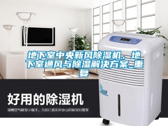 常見問題地下室中央新風除濕機，地下室通風與除濕解決方案_重復