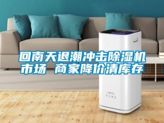行業(yè)新聞回南天退潮沖擊除濕機市場 商家降價清庫存