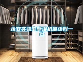 行業新聞永安實驗室除濕機多少錢一臺