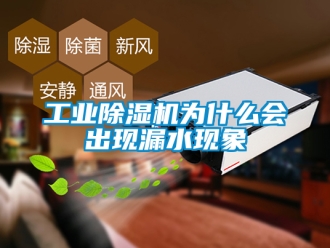 常見問題工業(yè)除濕機(jī)為什么會出現(xiàn)漏水現(xiàn)象