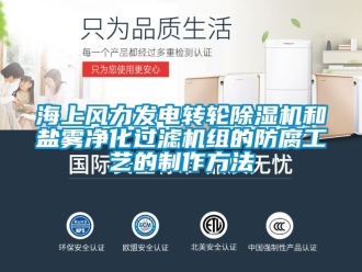 常見問題海上風(fēng)力發(fā)電轉(zhuǎn)輪除濕機(jī)和鹽霧凈化過濾機(jī)組的防腐工藝的制作方法