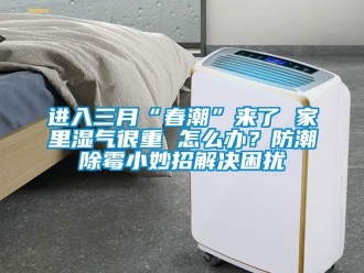 常見問題進入三月“春潮”來了 家里濕氣很重 怎么辦？防潮除霉小妙招解決困擾
