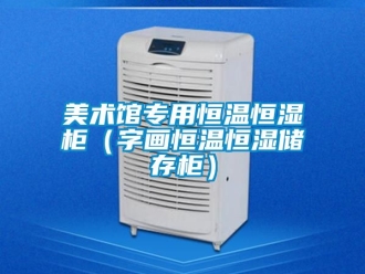 知識百科美術館專用恒溫恒濕柜（字畫恒溫恒濕儲存柜）