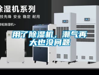 行業新聞用了除濕機，潮氣再大也沒問題