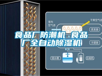 知識百科食品廠防潮機 食品廠全自動除濕機