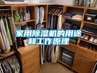 行業新聞家用除濕機的用途和工作原理