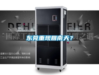 企業新聞東莞重現回南天？