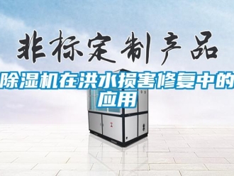 企業(yè)新聞除濕機(jī)在洪水損害修復(fù)中的應(yīng)用