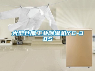 常見問題大型倉庫工業(yè)除濕機(jī)YC-30S