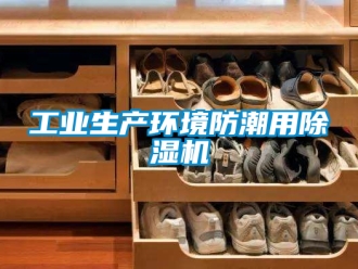 常見問題工業生產環境防潮用除濕機