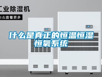 知識百科什么是真正的恒溫恒濕恒氧系統(tǒng)