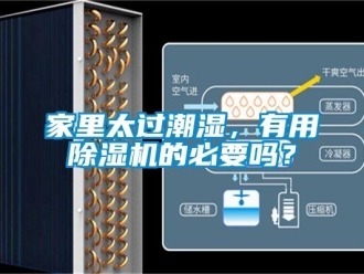 行業(yè)新聞家里太過潮濕，有用除濕機(jī)的必要嗎？