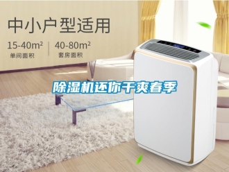 常見問題除濕機還你干爽春季