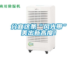 企業新聞分宜這條“風光帶”美出新高度！