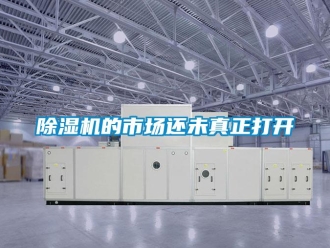 常見(jiàn)問(wèn)題除濕機(jī)的市場(chǎng)還未真正打開(kāi)