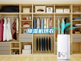 常見問題除濕機烘衣