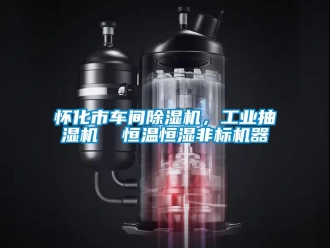 常見問題懷化市車間除濕機(jī)，工業(yè)抽濕機(jī)  恒溫恒濕非標(biāo)機(jī)器