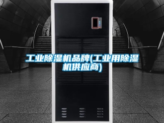 常見問題工業除濕機品牌(工業用除濕機供應商)